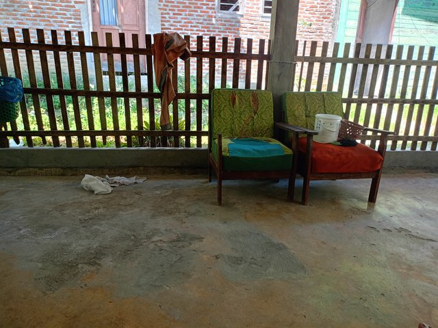 IMG20250725112813.jpg