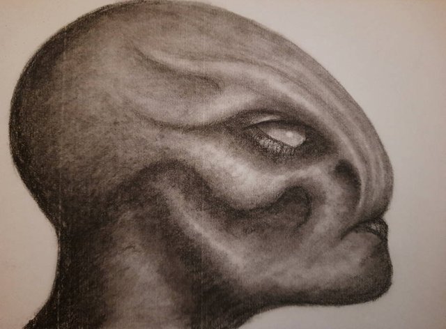 20250710_113439.jpg