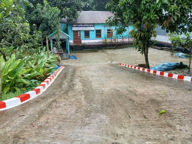 1000059361.jpg