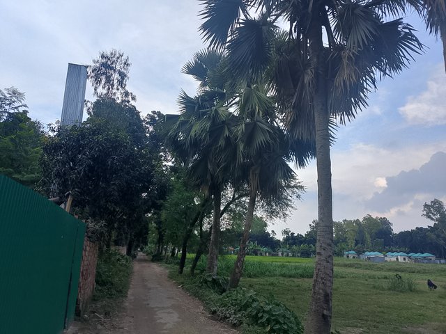 1000050265.jpg