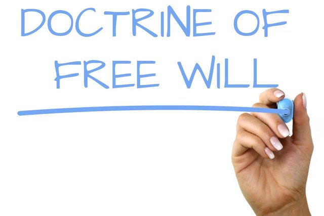 doctrine-of-free-will.jpg