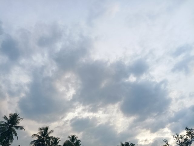 IMG_20250604_181459.jpg