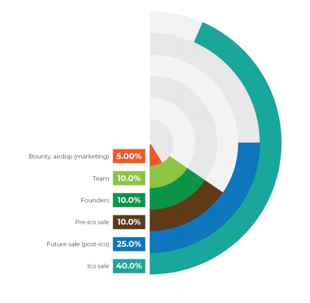 veiag token distribution.jpg