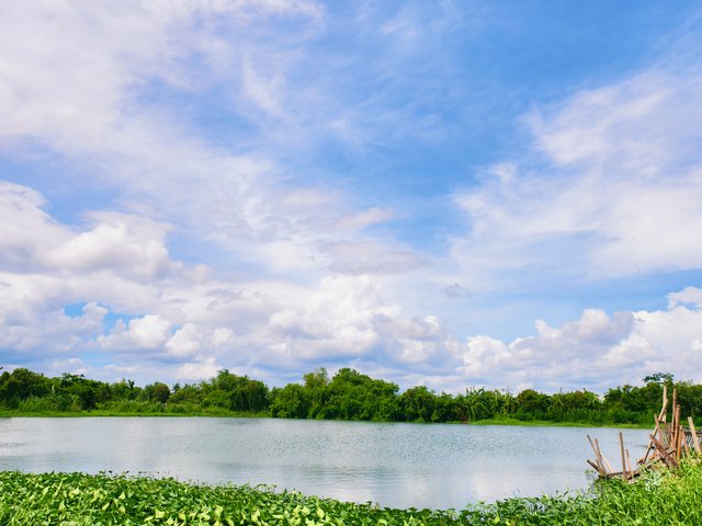 IMG_20250707_164857.jpg