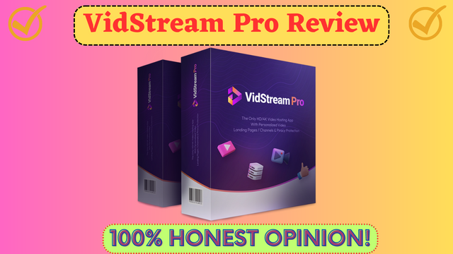 VidStream Pro Review.png