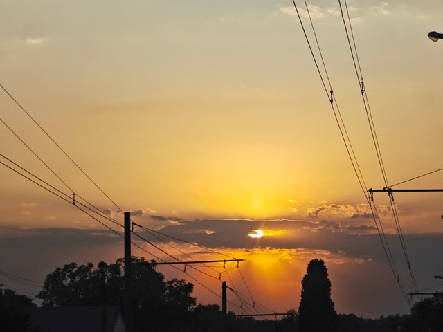 1000084102.jpg