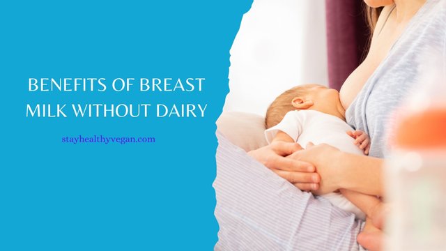 Is Breast Milk Dairy Free and Vegan (1).jpg