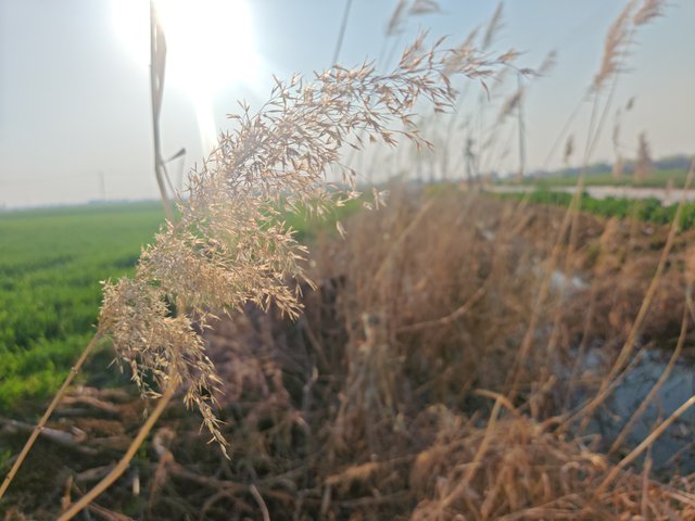 IMG_20250319_165021.jpg