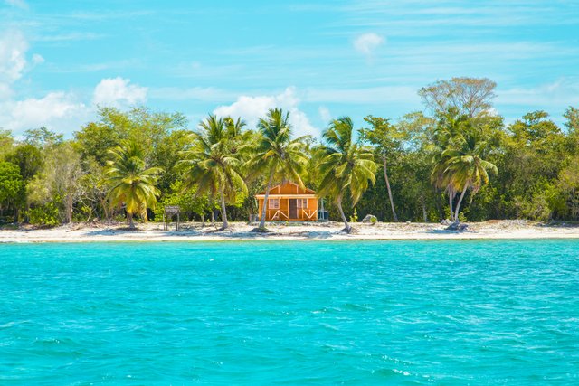 photo-of-wooden-cabin-on-beach-near-coconut-trees-2598683.jpg