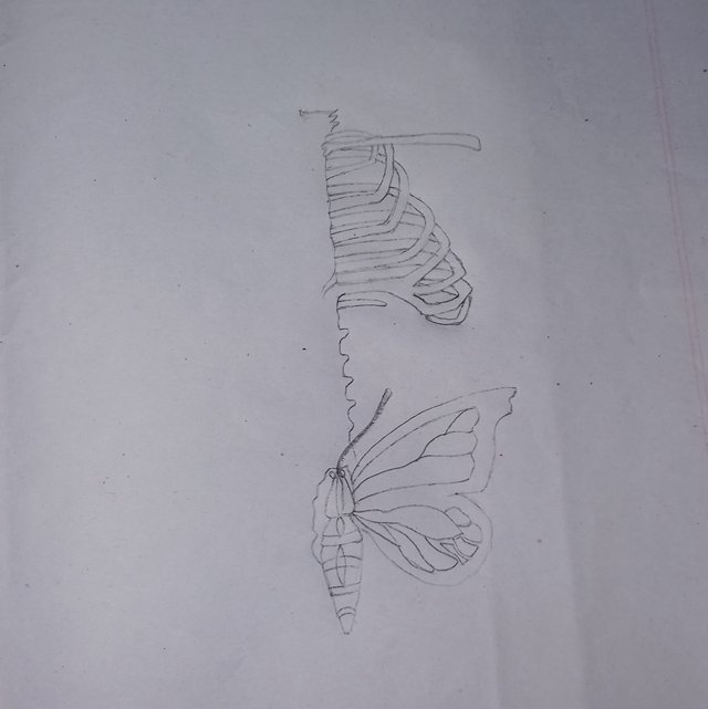 20251004_223905.jpg