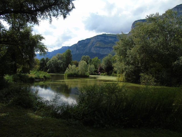 1marais montfort (8).JPG