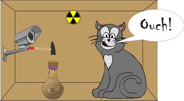 Gato1.jpg