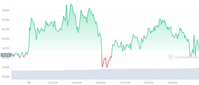 BTC_1D_graph_coinmarketcap.jpeg