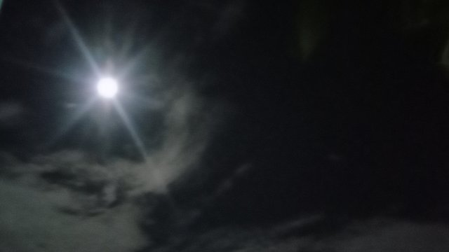 IMG_20240819_220850.jpg