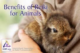 reiki6.jpg