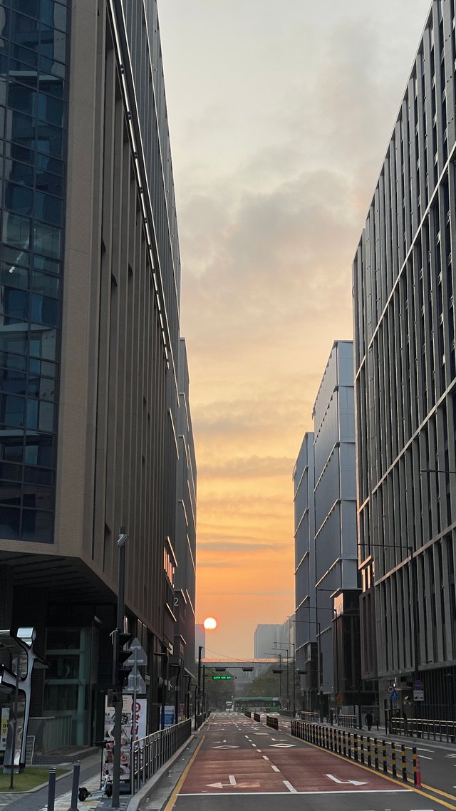 IMG_9238.jpeg