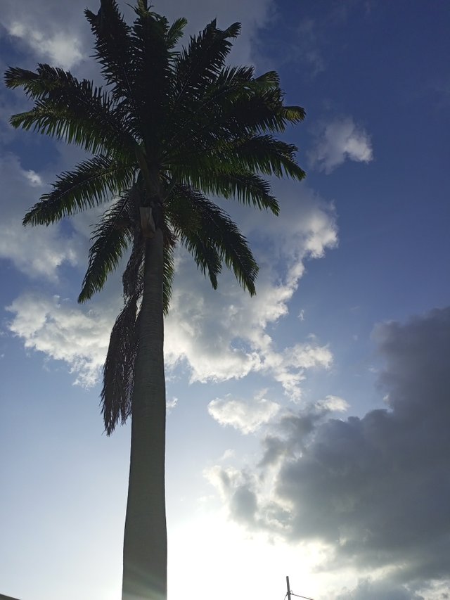 IMG_20210926_171512_790.jpg