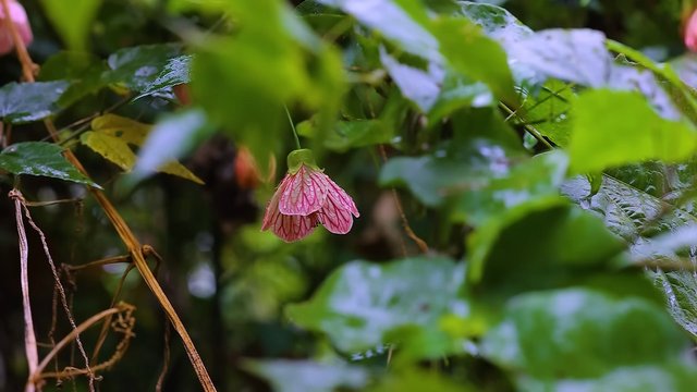 IMG_202564.jpg