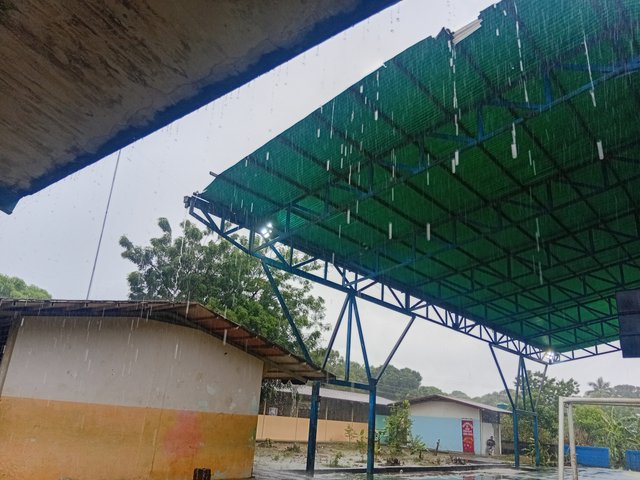 1000308289.jpg