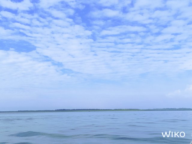 IMG_20241129_134524612.jpg
