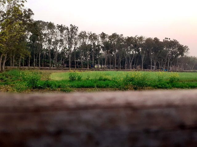 IMG_20210127_161408.jpg