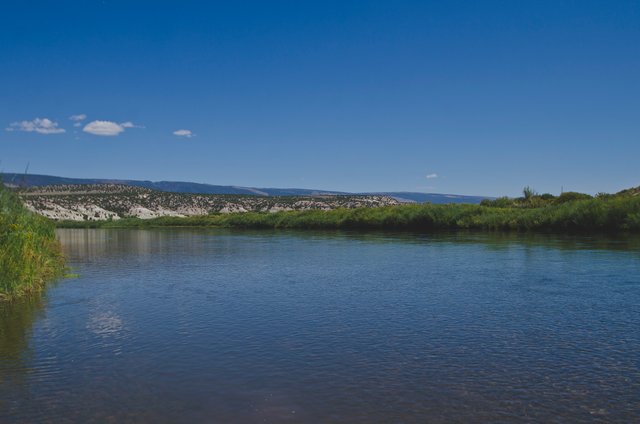 The slow flowing lazy green river in the clear summer sun.JPG