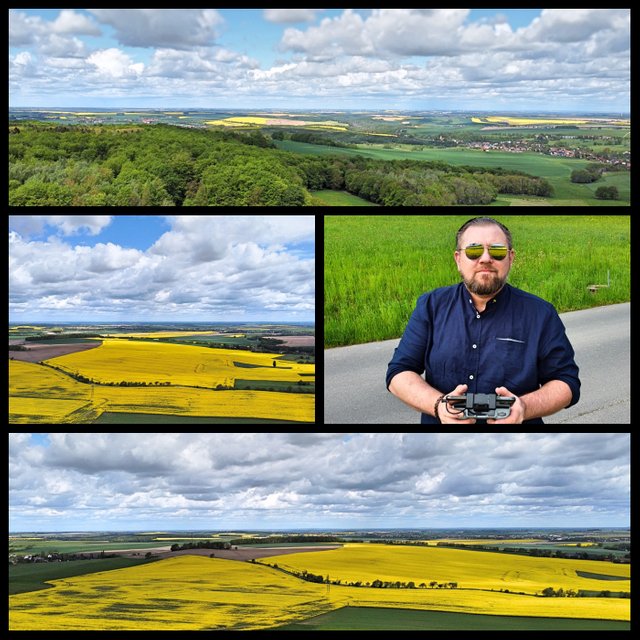 Landberg collage.jpg