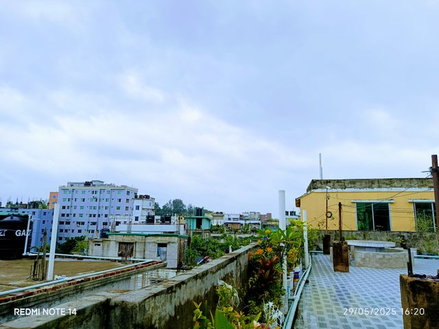 IMG_20250529_162002.jpg