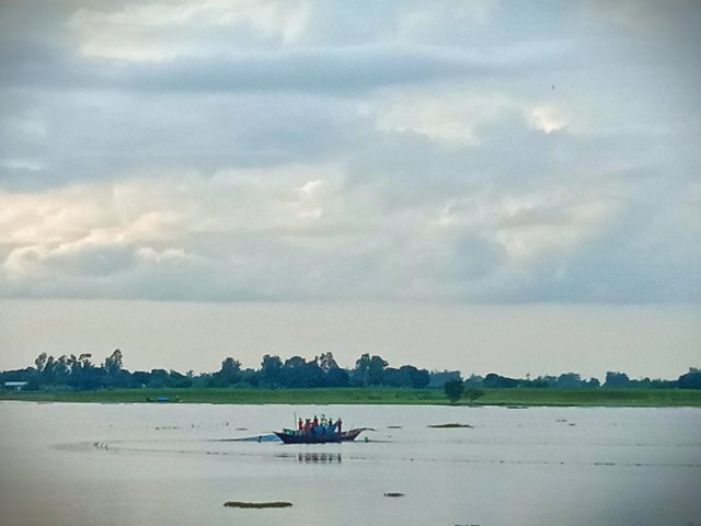IMG_20250729_192923.jpg