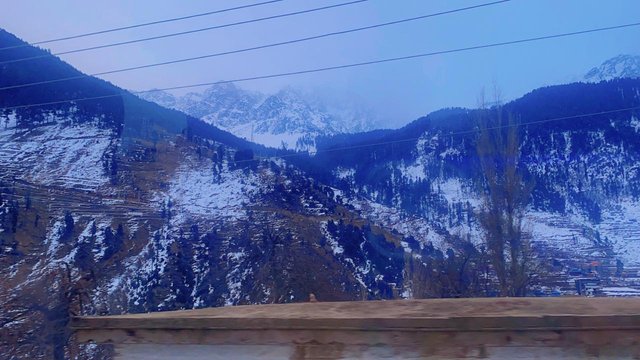 IMG-20250122-WA0001.jpg