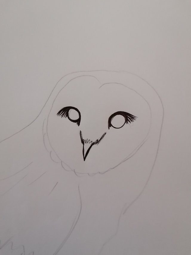 owl pen (3).jpg
