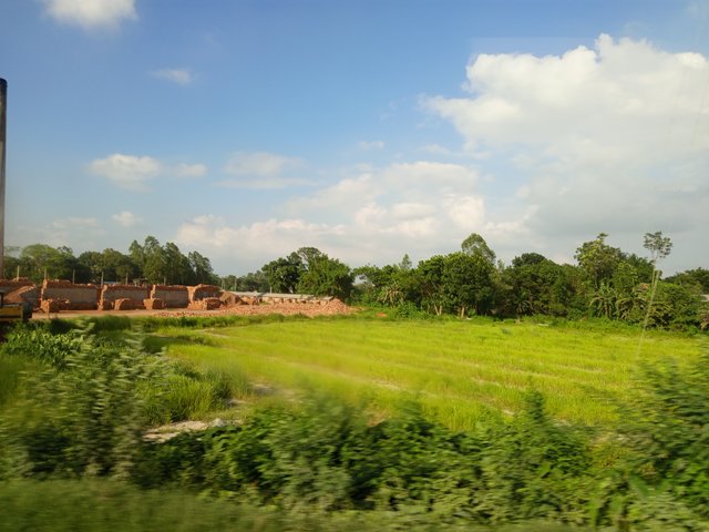 ইট (3).jpg