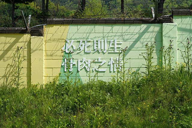 b-DSC00927.JPG