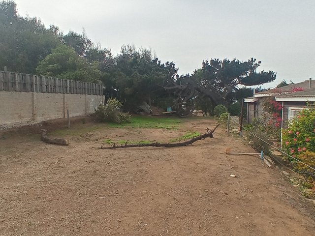Terreno IOAai1.jpg