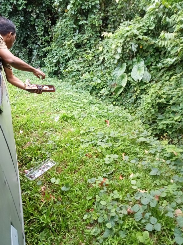 IMG20250809085904.jpg