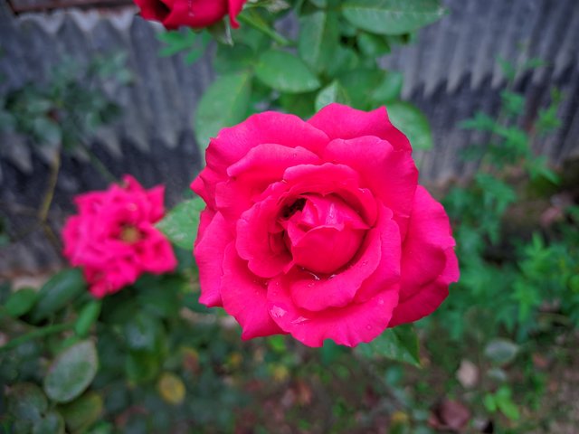 20250615_122323.jpg