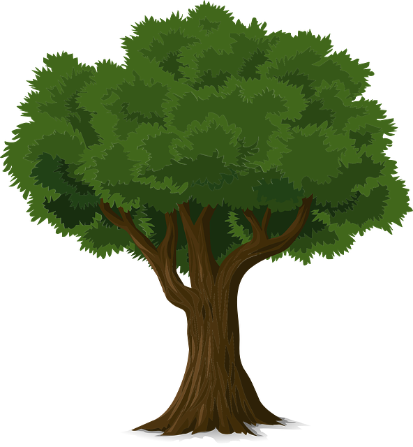 tree-576847_640.png