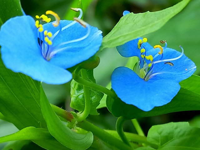 20220926_094242.jpg