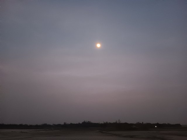 1000028742.jpg
