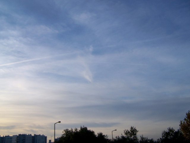 100_2044 2711 steemit.JPG