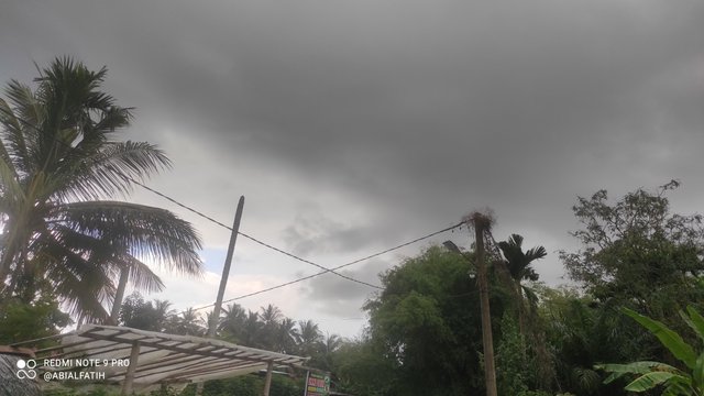 IMG_20250417_162205.jpg
