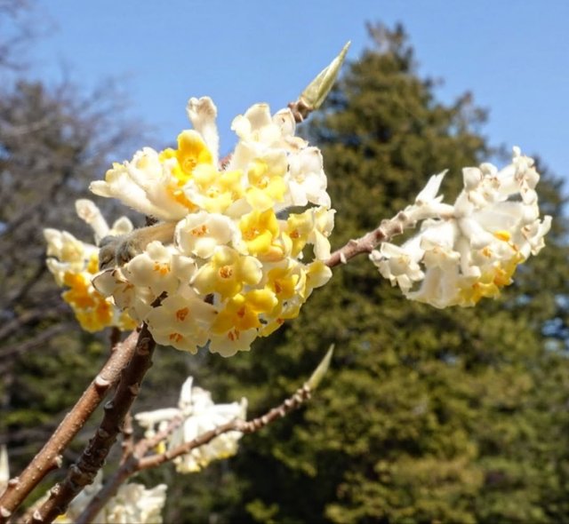 IMG_20250416_083741.jpg