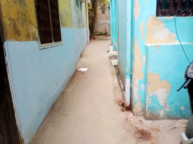 IMG20250415143456.jpg