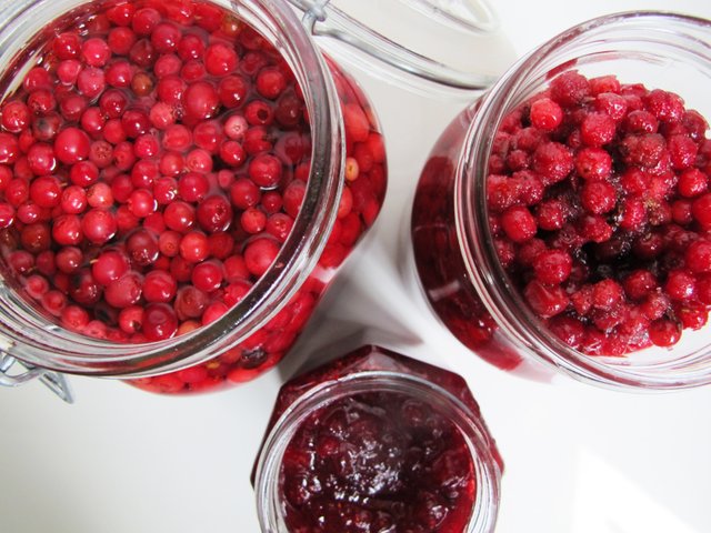 lingonberries-three-ways_2603.jpg