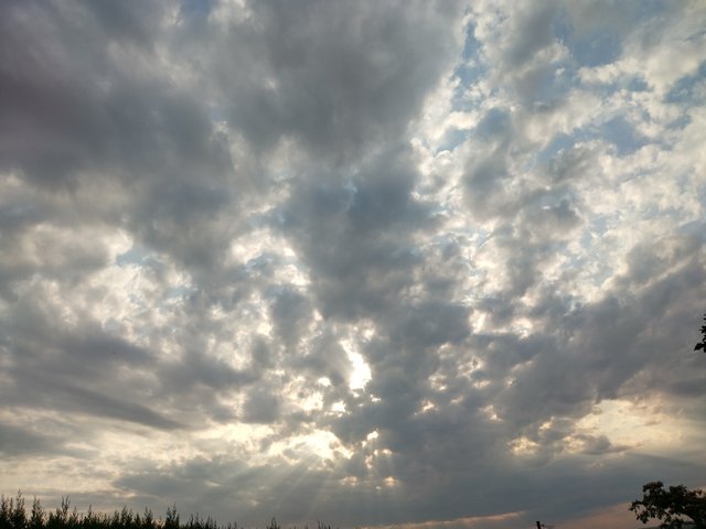 IMG_20250621_192637_HDR.jpg