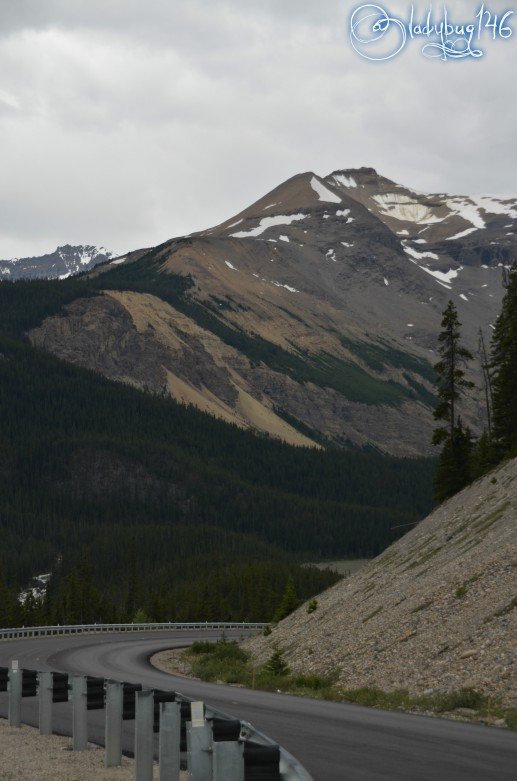 icefield_parkway2.jpg