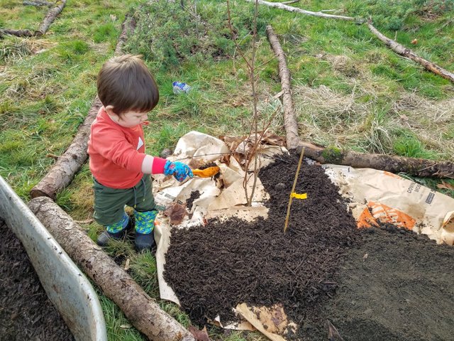 son-helping-plant.jpg