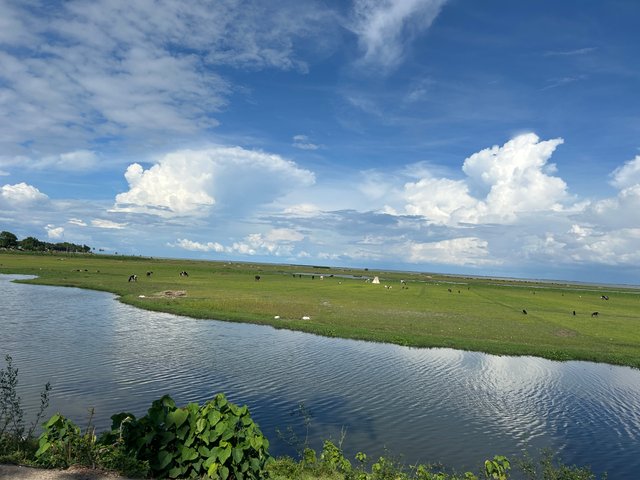 IMG_1263.jpeg