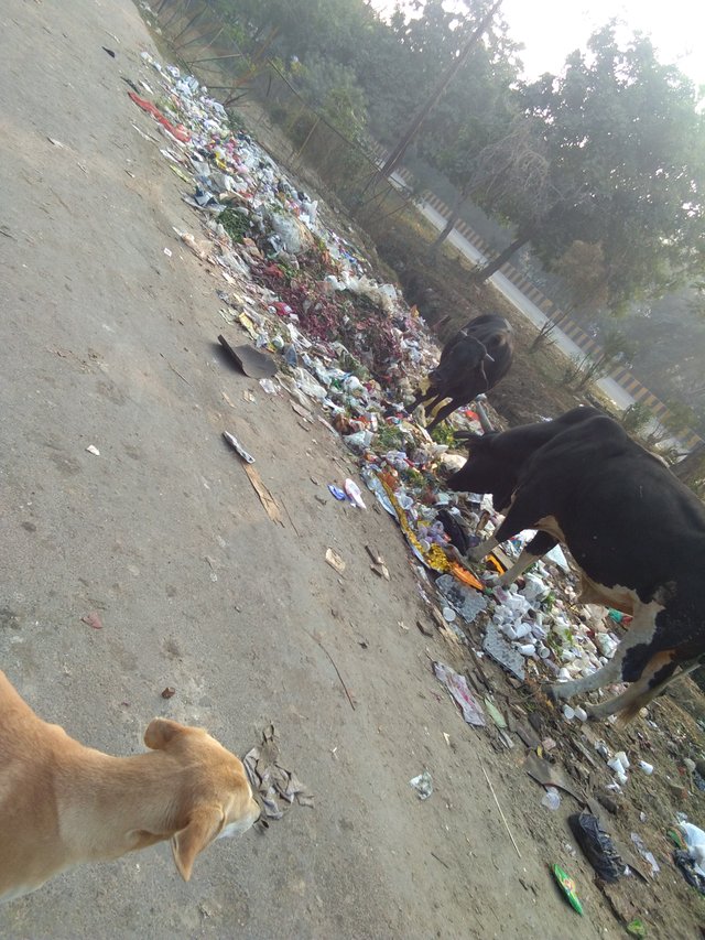 Clean India.jpg