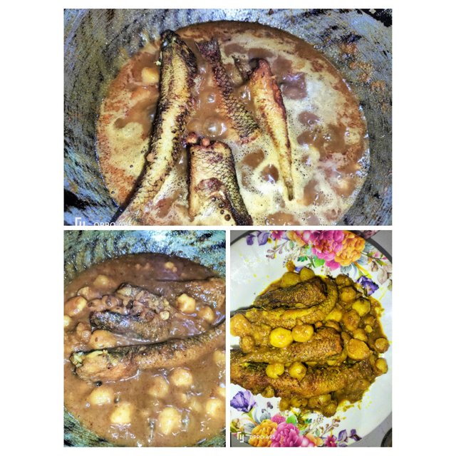 PhotoCollage_1752321379764.jpg